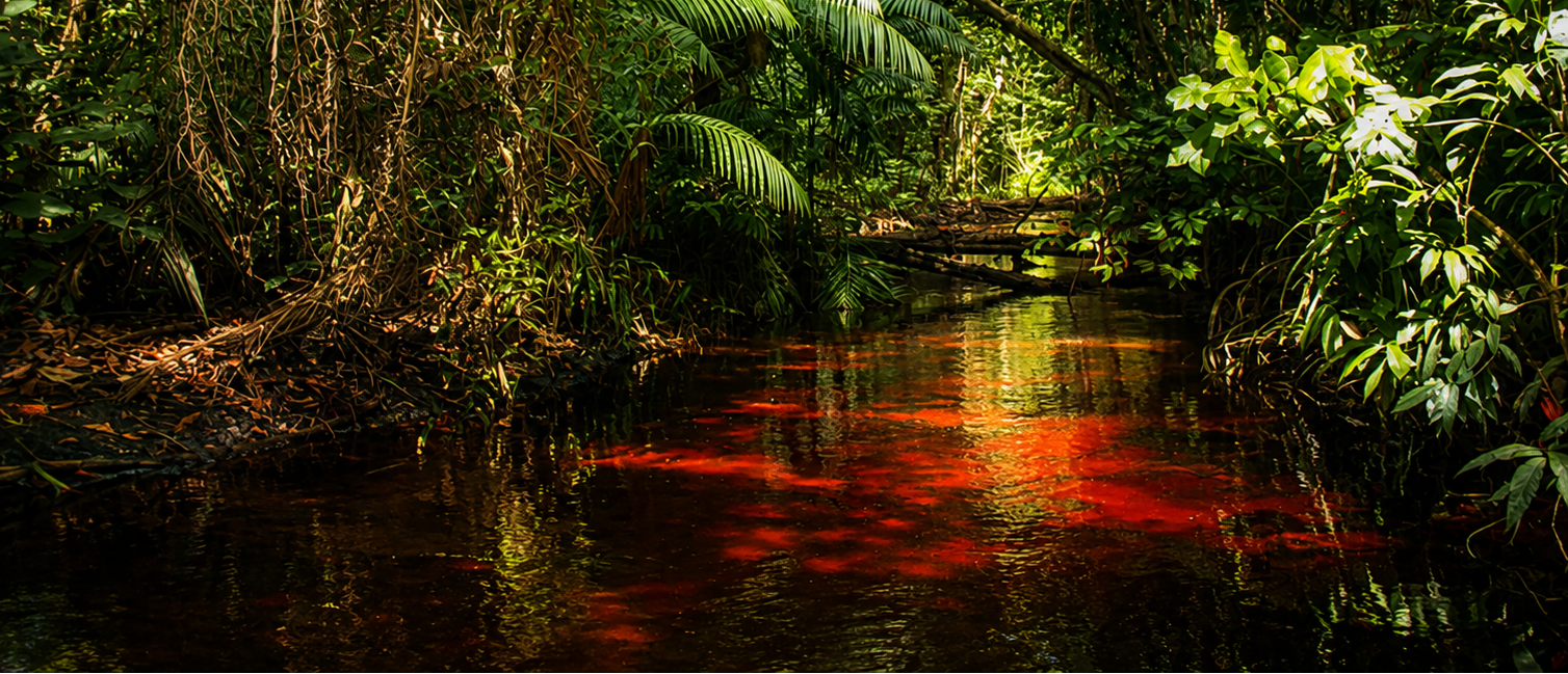 Guyane